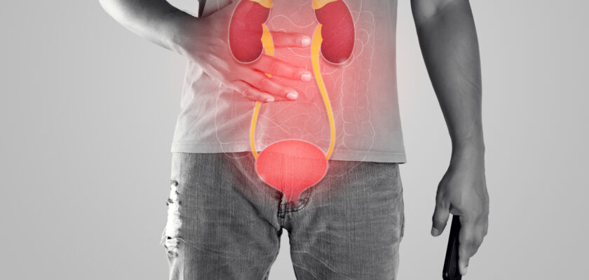 A Brief Understanding of Urinary Tract Infections